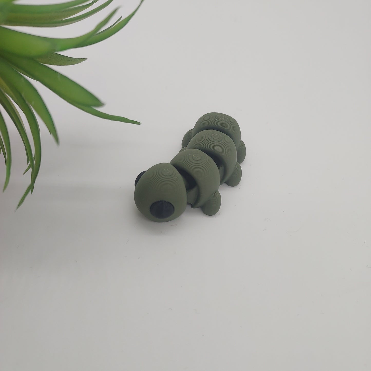 Larva