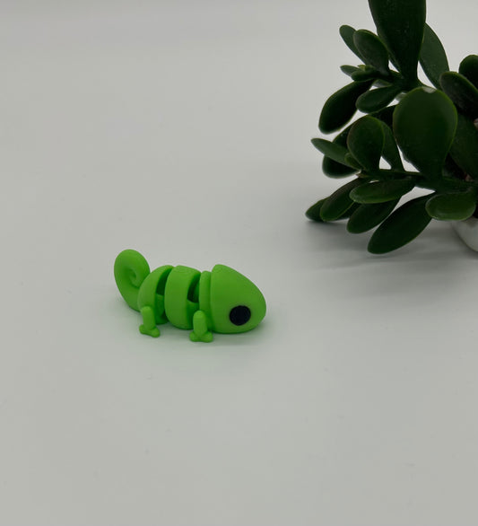 Kamelon unge
