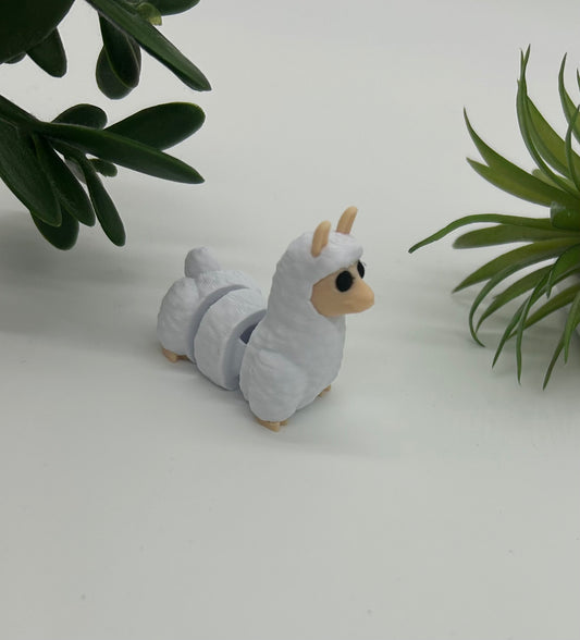 Lama