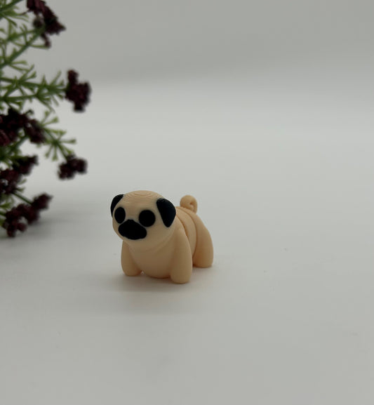 Pug