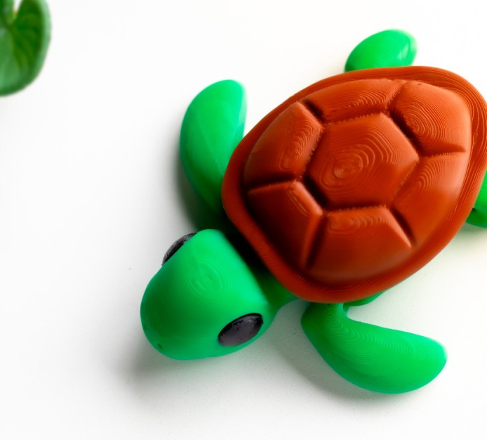 Turtle