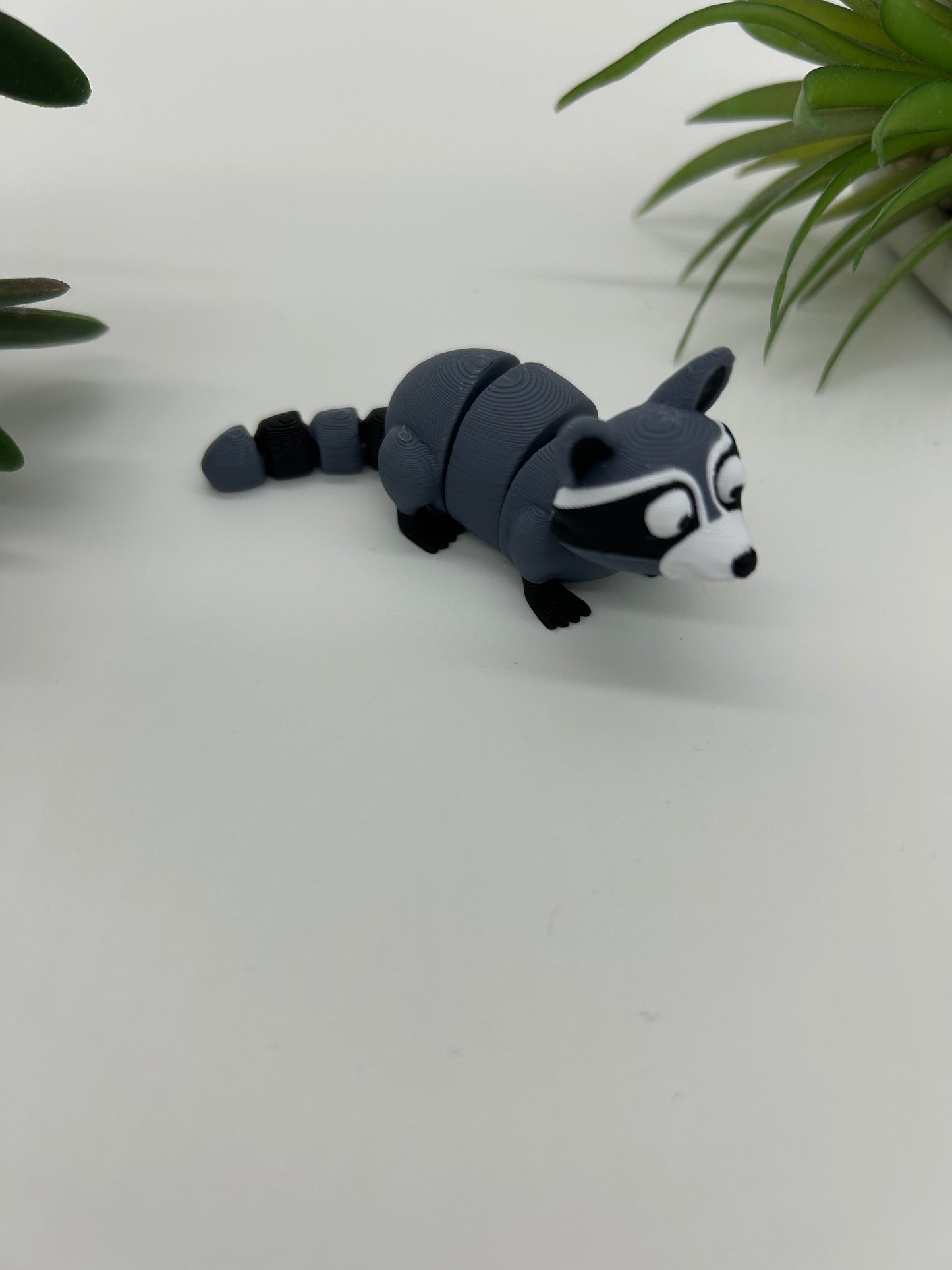 Raccoon